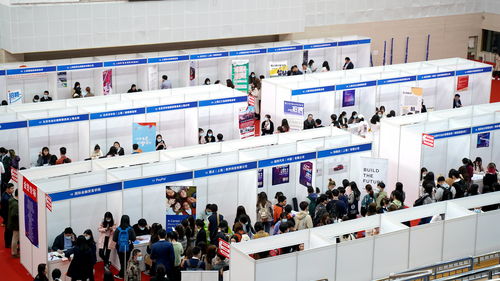 搭建橋梁，助力夢想 上外國際金融貿(mào)易學(xué)院2021年就業(yè)實(shí)習(xí)專場雙選會(huì)成功舉辦